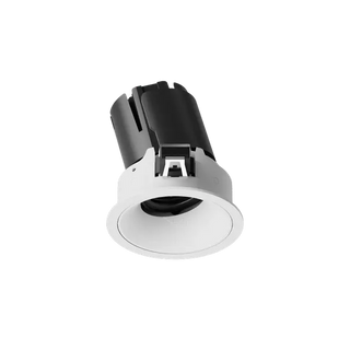 ION R Adjustable Downlight