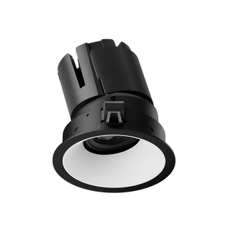 ION R Adjustable Downlight
