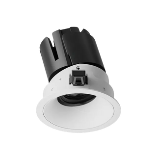 ION R Adjustable Downlight