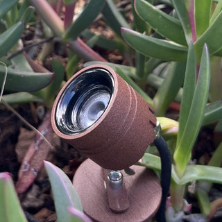 Rilto Micro 3W LED Garden Spike Light