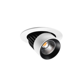 Unios Switch Adjustable Downlight