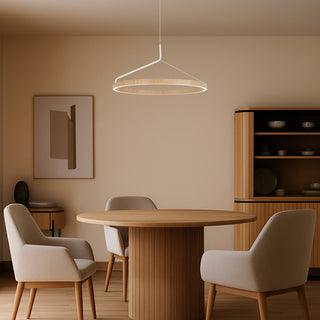 Telbix TRUVON 60 LED ring pendant light lifestyle interior