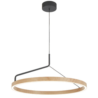 Telbix TRUVON 60 pendant suspension and canopy detail