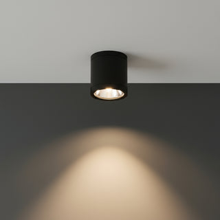 Black cylindrical ceiling light fixture on a white background