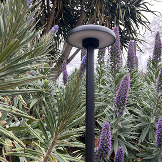 SCAPE 24V LED Garden Post Light