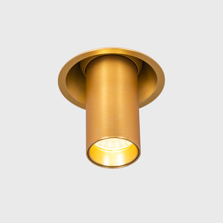 Fuoco In & Out Adjustable Downlight