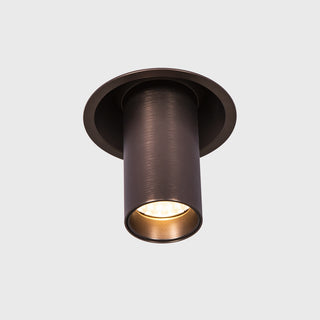 Fuoco In & Out Adjustable Downlight
