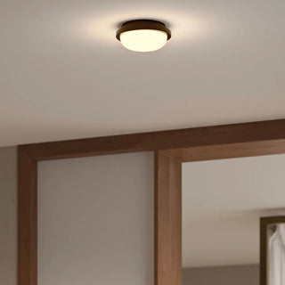 Close up of Bode Round Wall/Ceiling Light ceiling mounted in Old Brass finish with opal glass diffuser